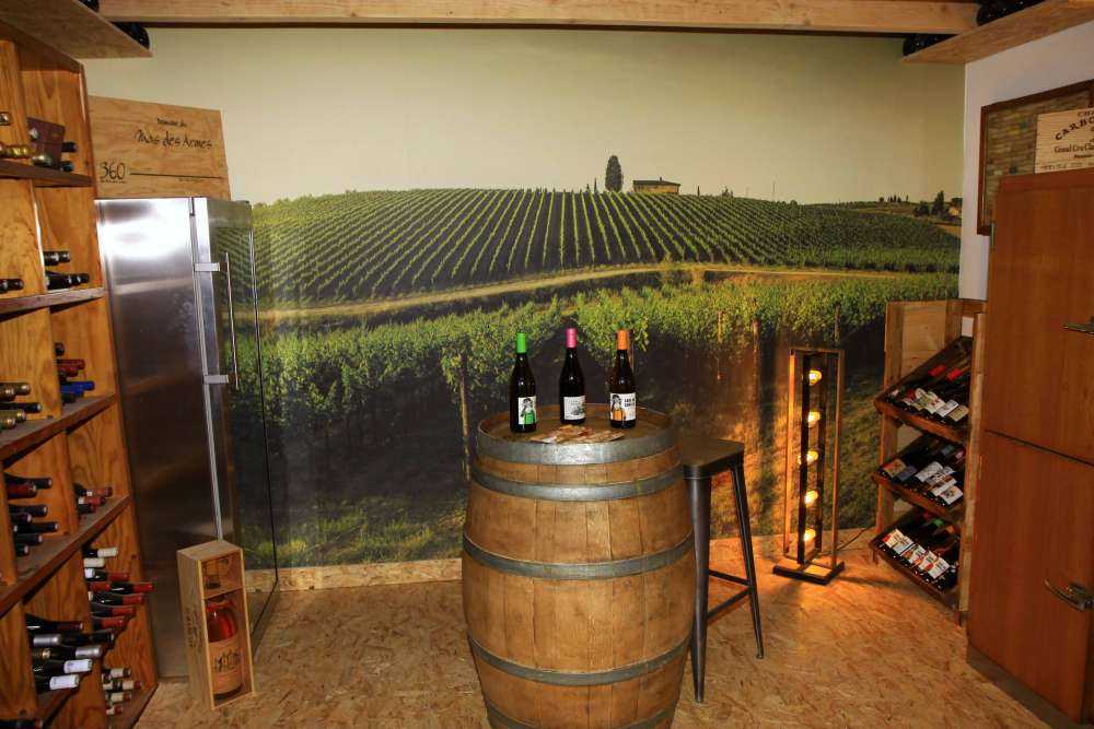 Viñedo de la Toscana