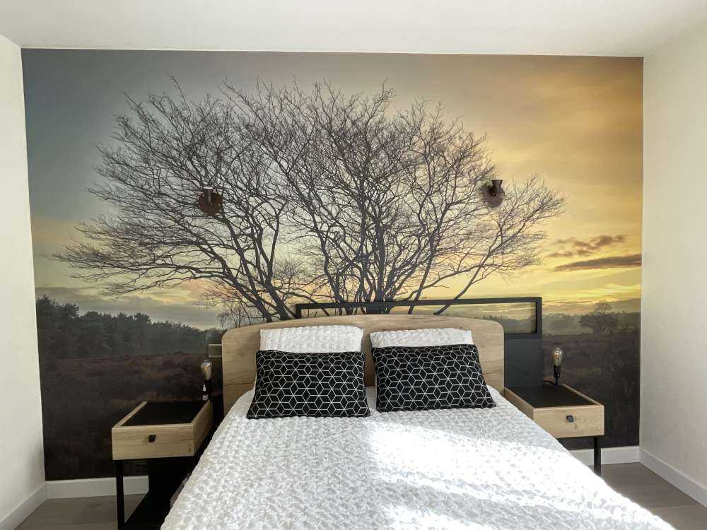 Amanecer en el páramo