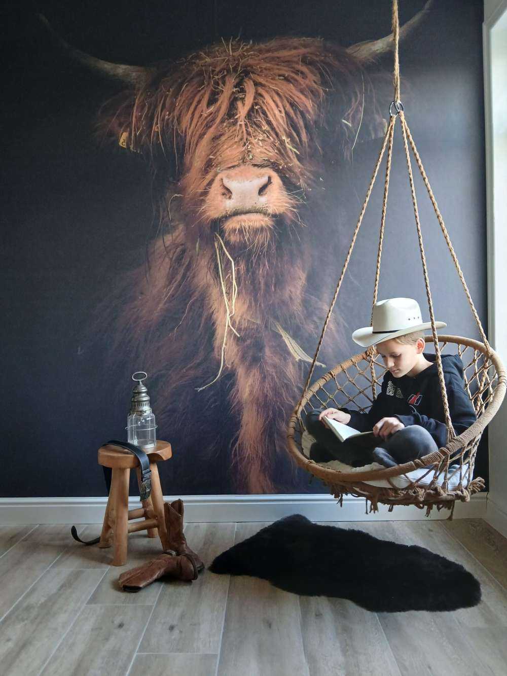 Retrato de una vaca escocesa