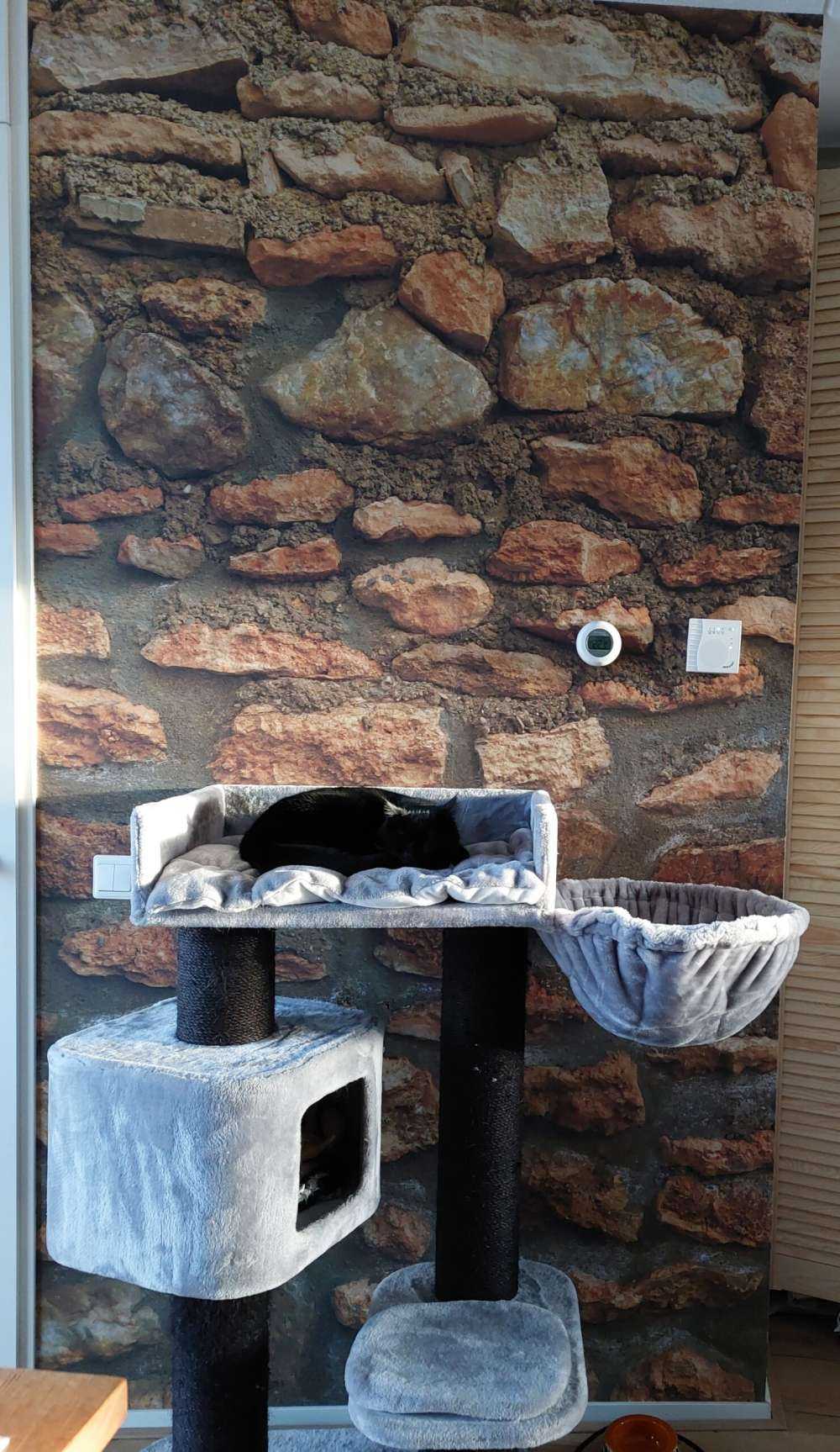 Muro con piedras toscas