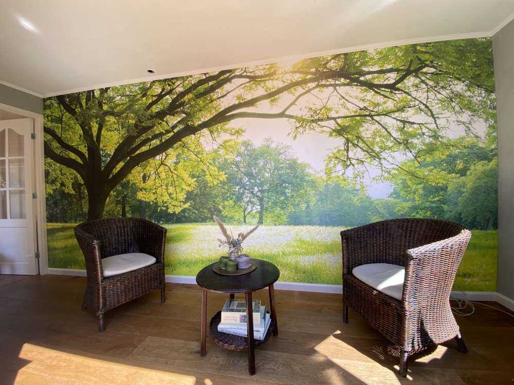 Hermoso árbol con hierba verde