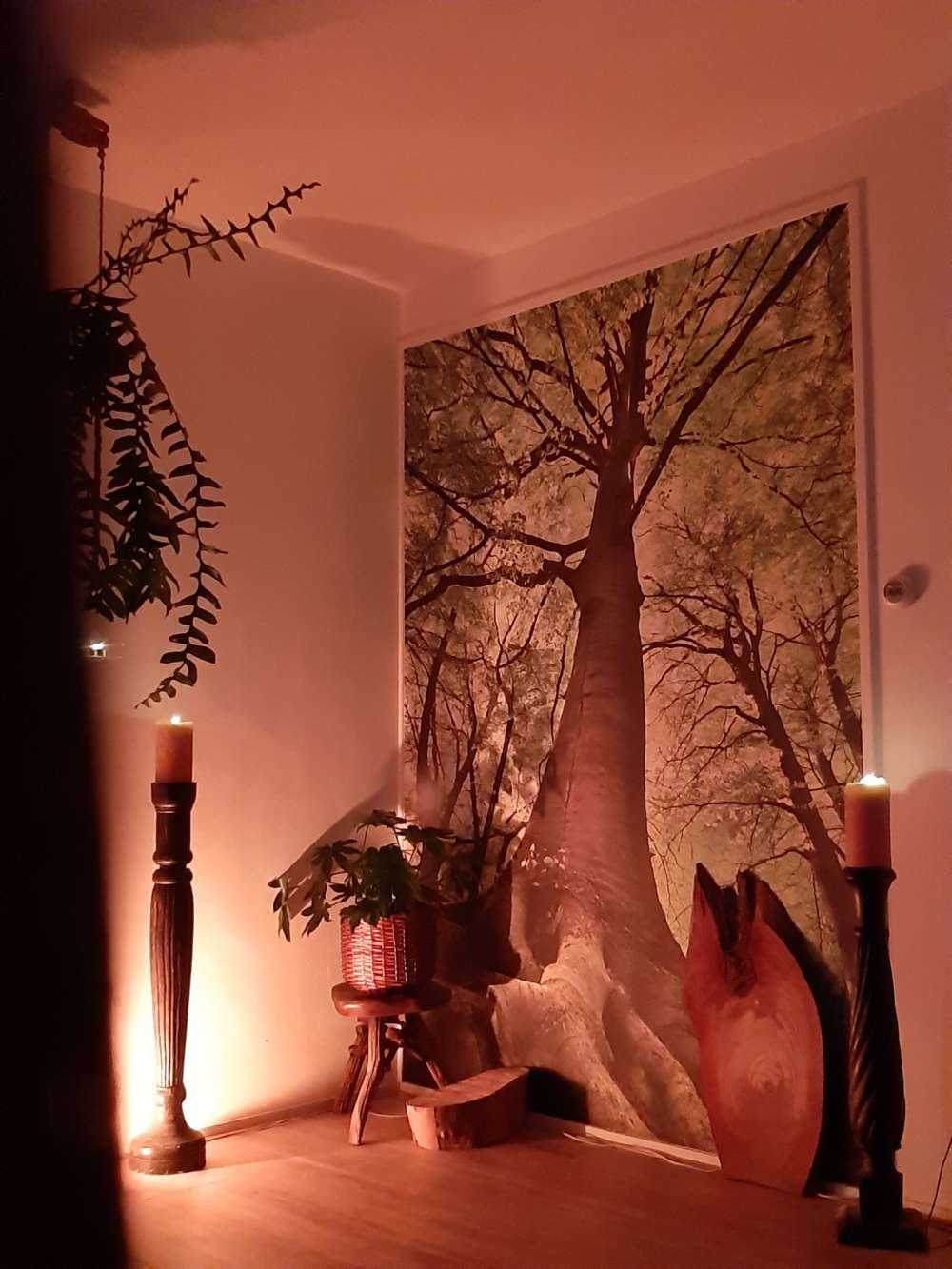 Árbol grande y raíces