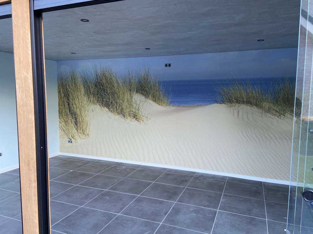 Paso de dunas a la playa