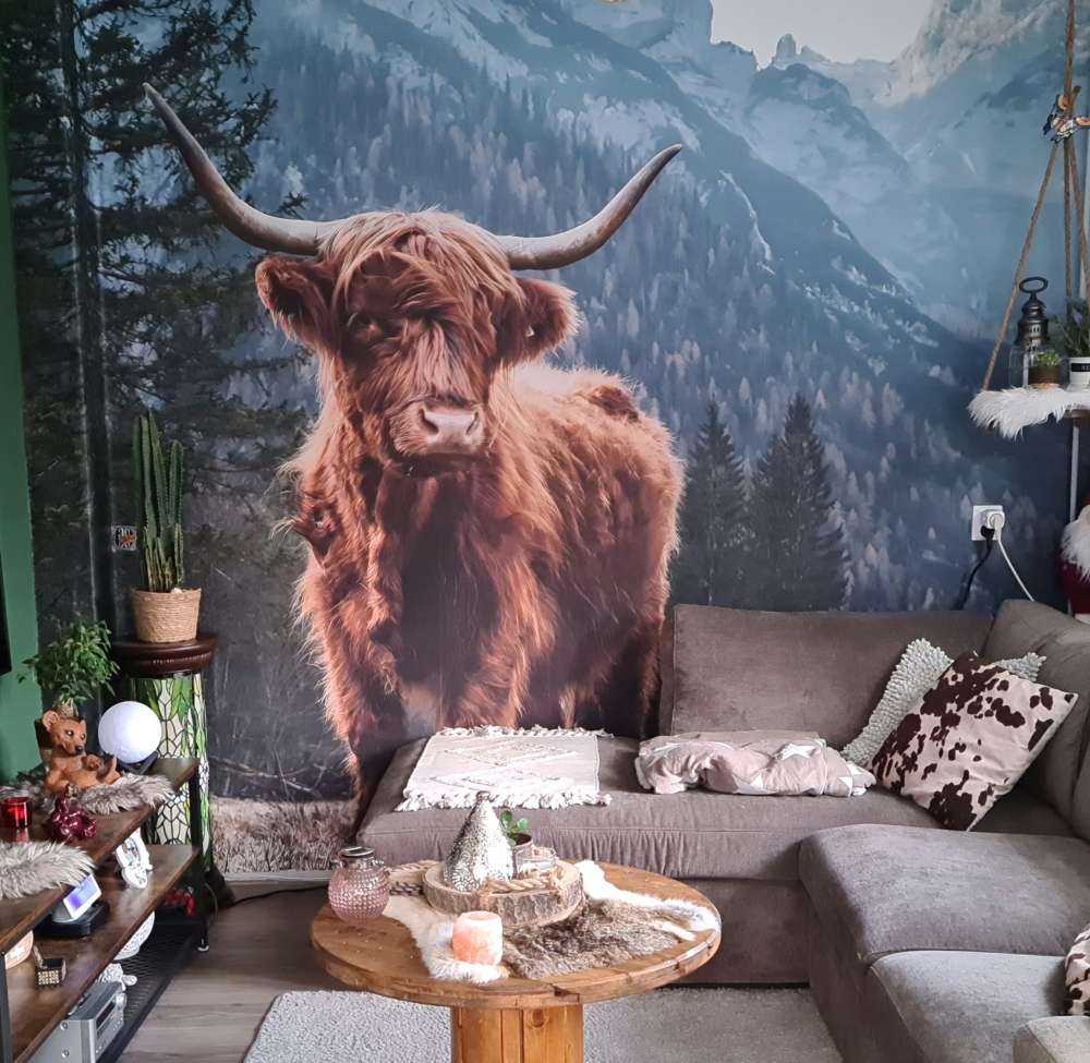 Una vaca escocesa entre los árboles