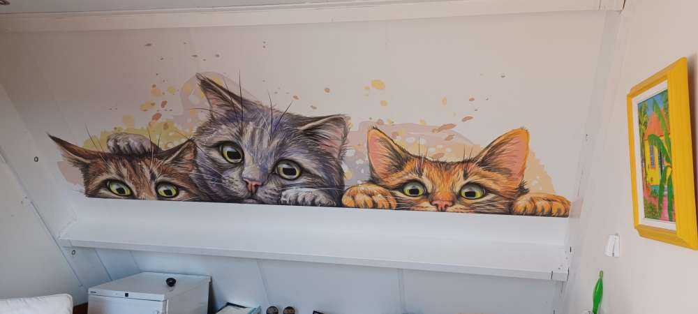Dibujo del gato