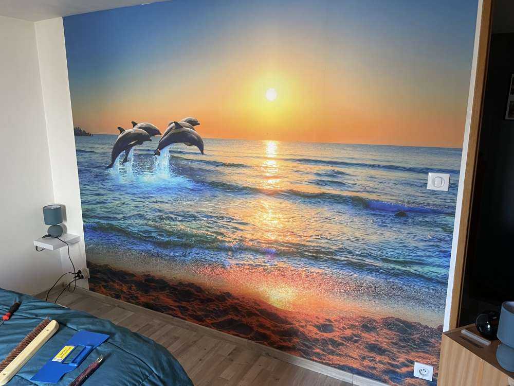 Bandada de delfines