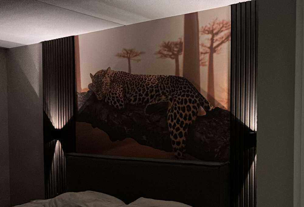 Leopardo dormido