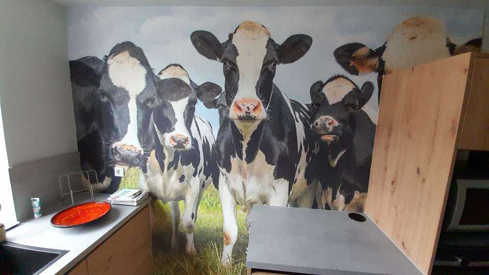 Rebaño con vacas