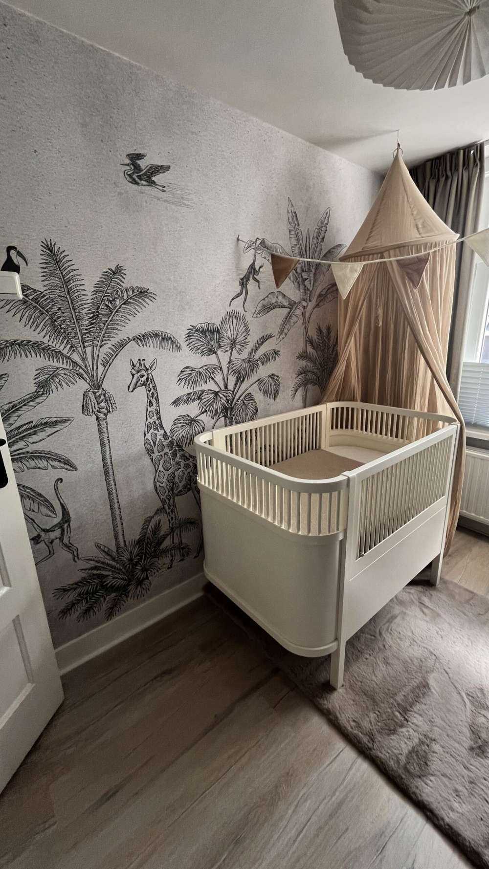 Animal tropical de la selva gris