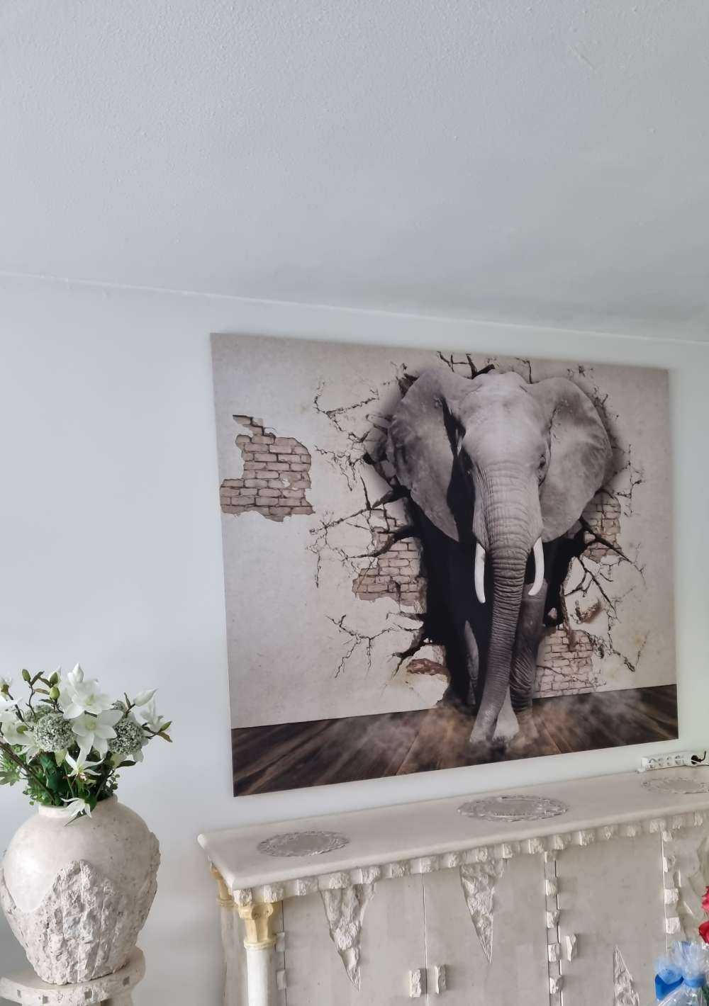 Elefante 3D de la pared