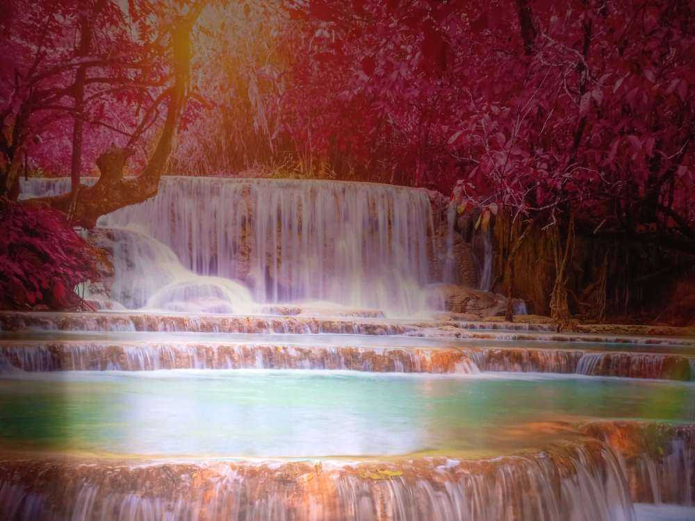 Cascadas en la selva