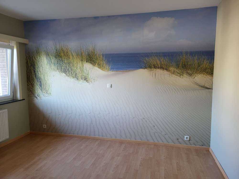 Paso de dunas a la playa