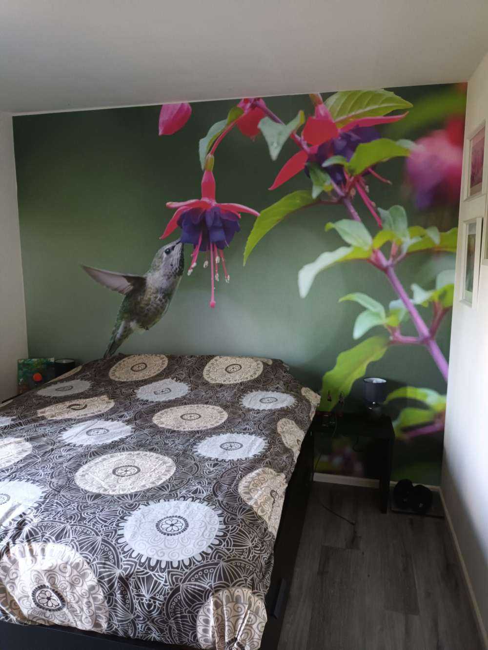 Bebida de colibrí