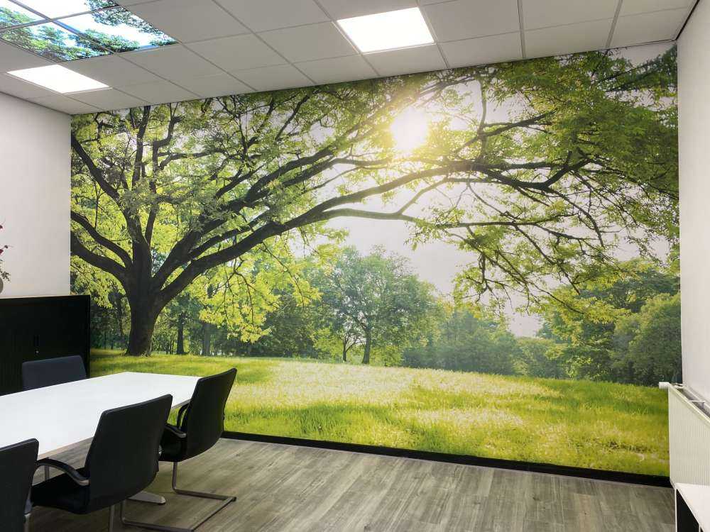 Hermoso árbol con hierba verde