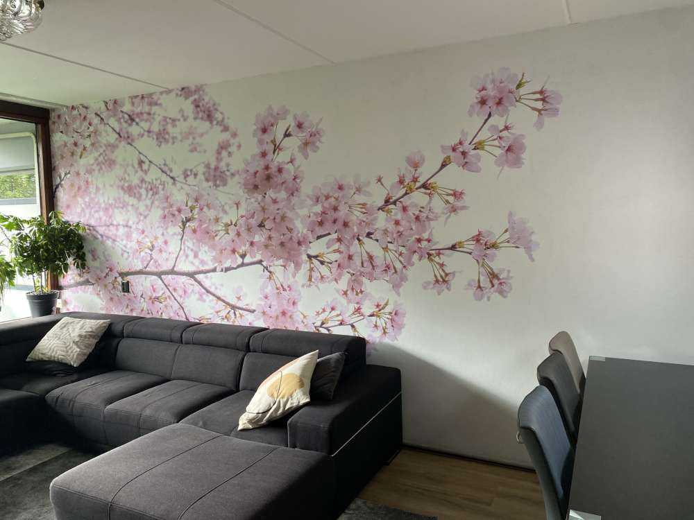 Ramas de flor rosa