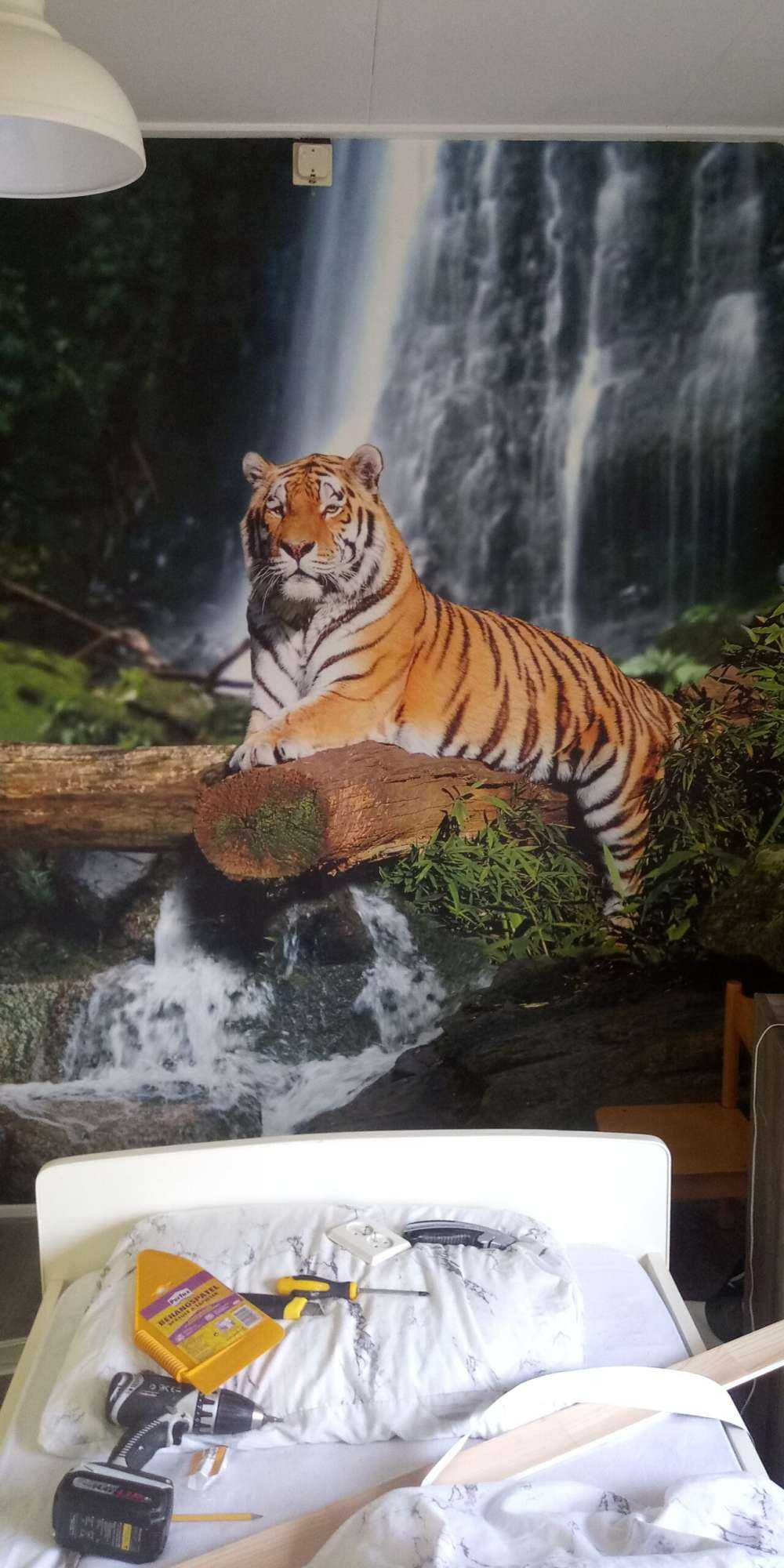 Tigre en la selva