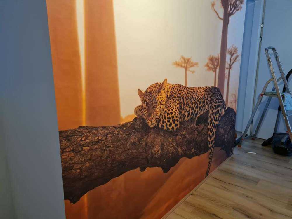Leopardo dormido