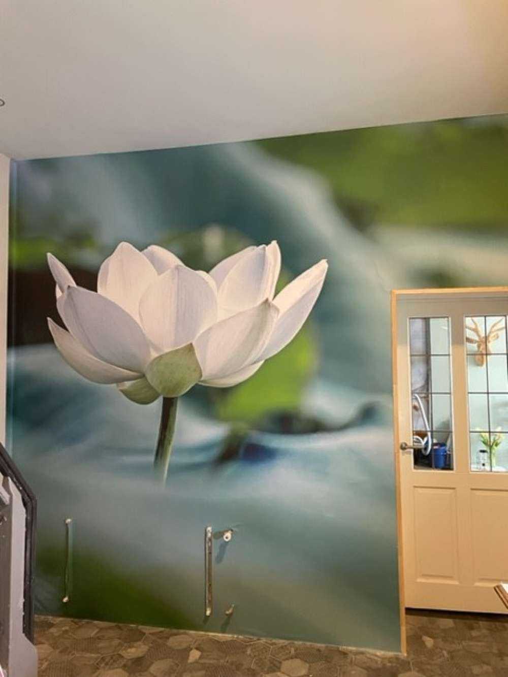 Flor de loto blanca