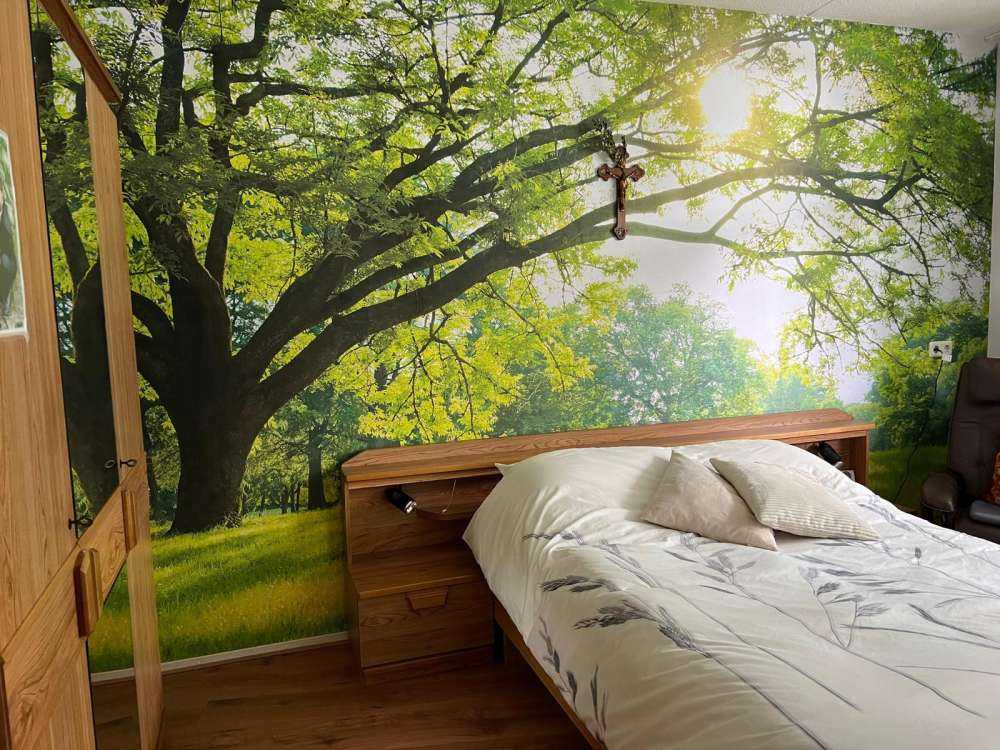 Hermoso árbol con hierba verde