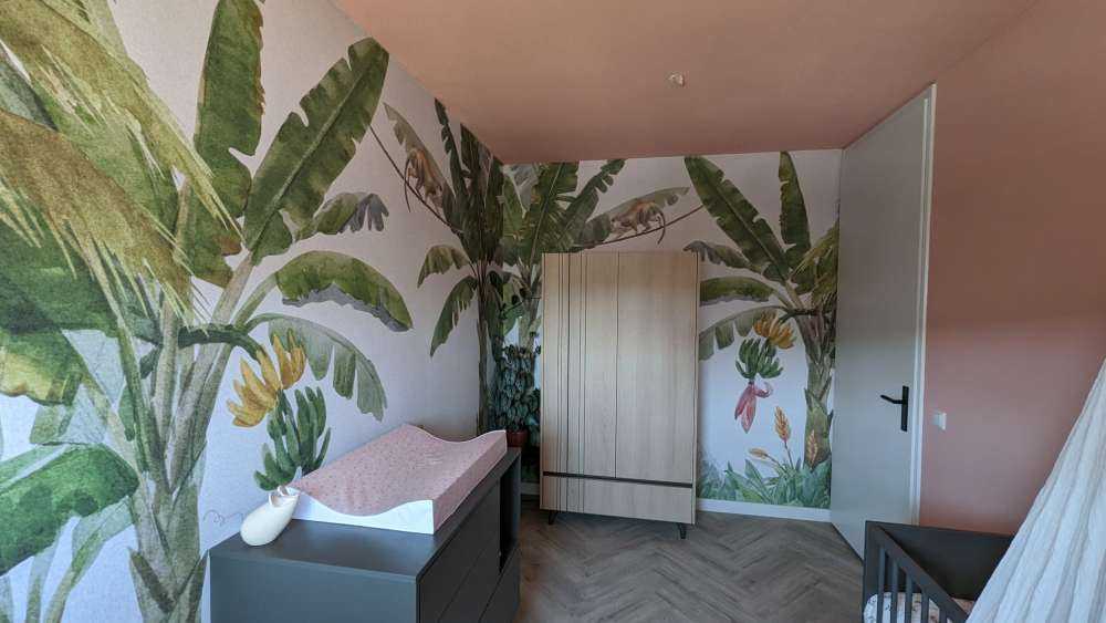 Selva con animales de colores