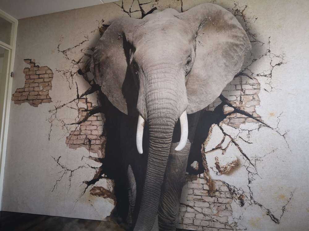 Elefante 3D de la pared