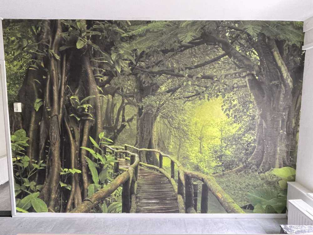 Puente de madera a través de una selva verde