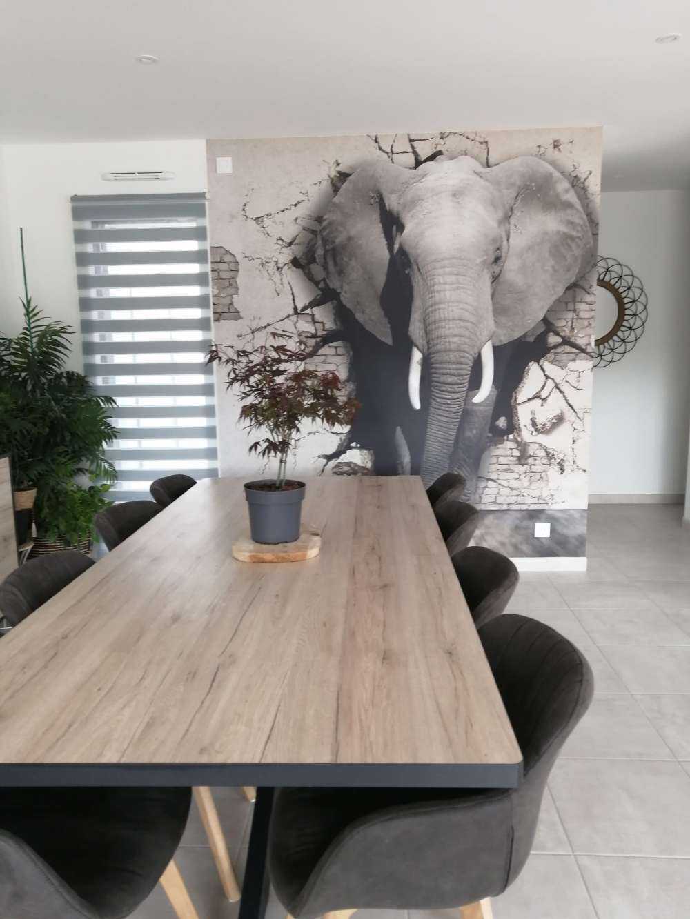 Elefante 3D de la pared