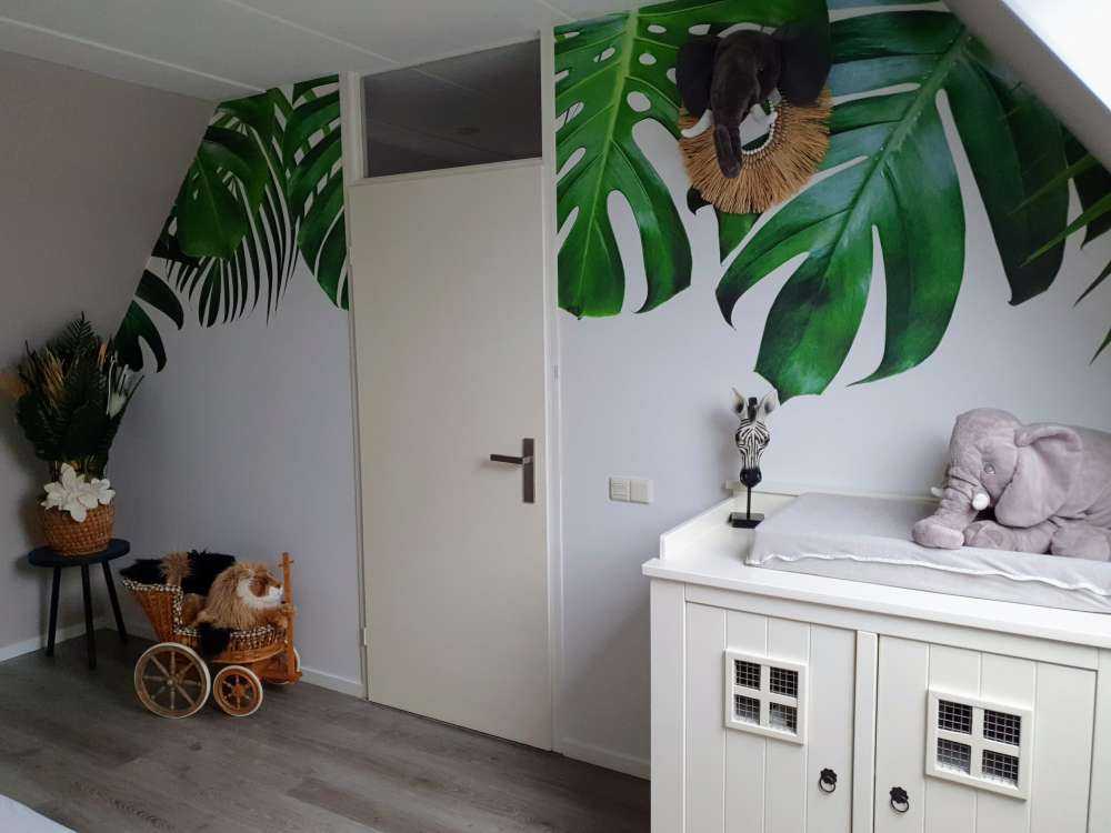 Plantas tropicales