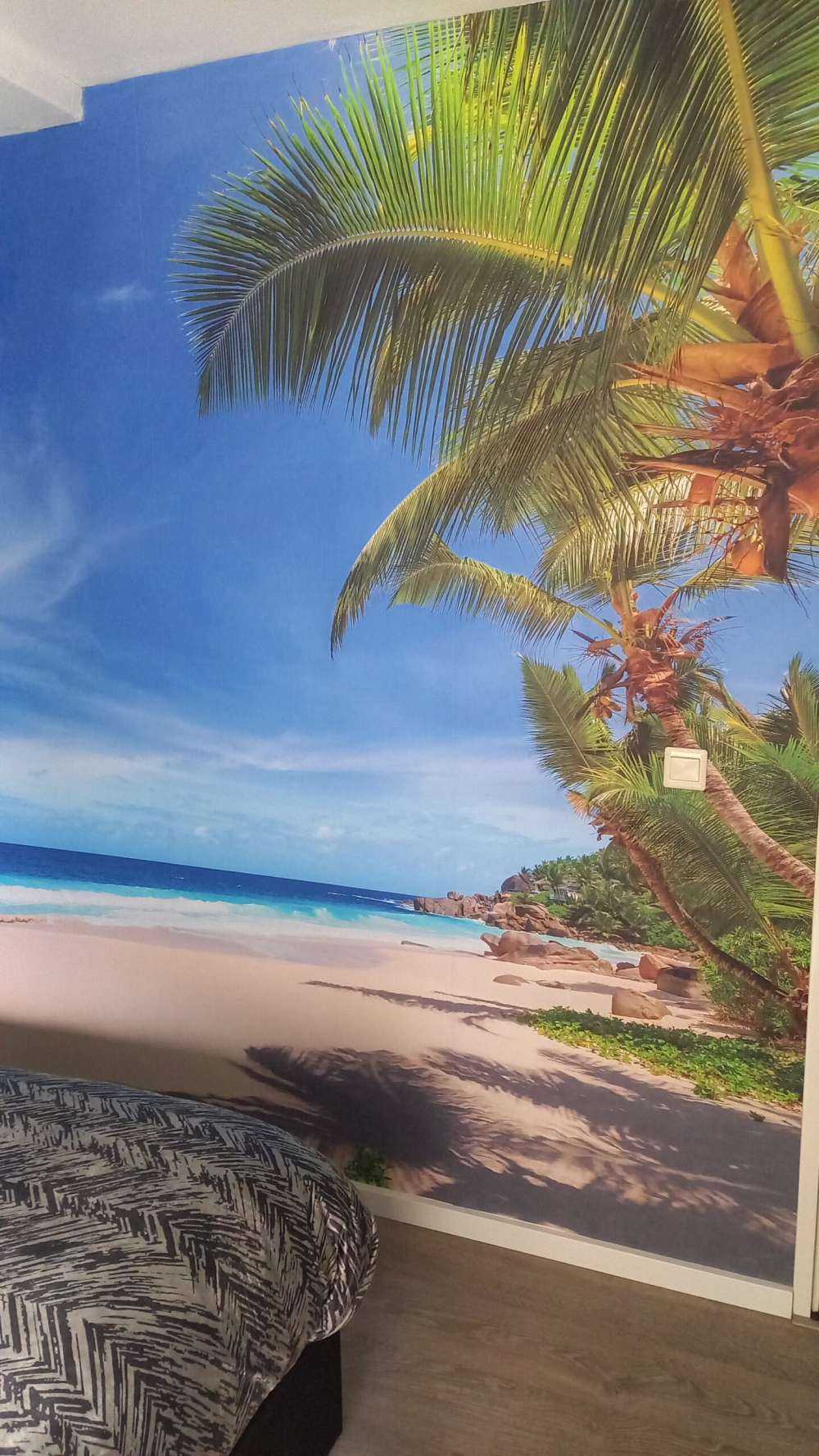 Playa tropical con palmera