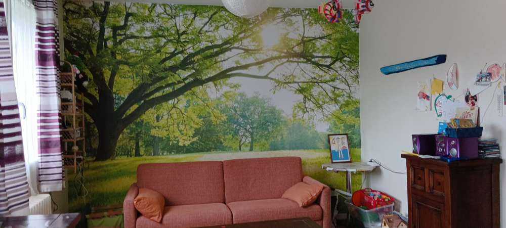 Hermoso árbol con hierba verde