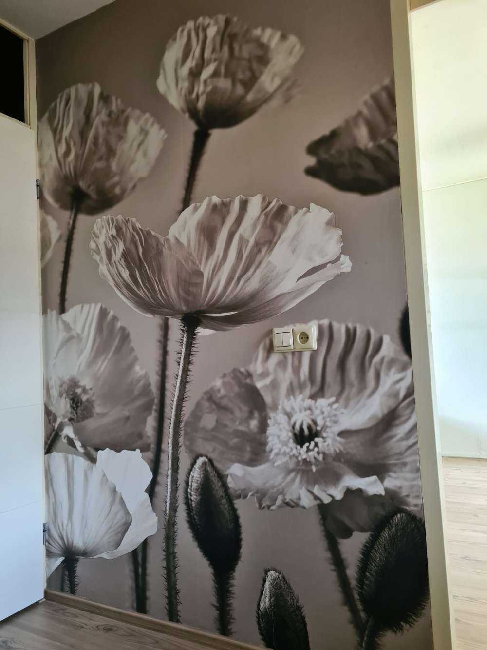 Amapolas vintage