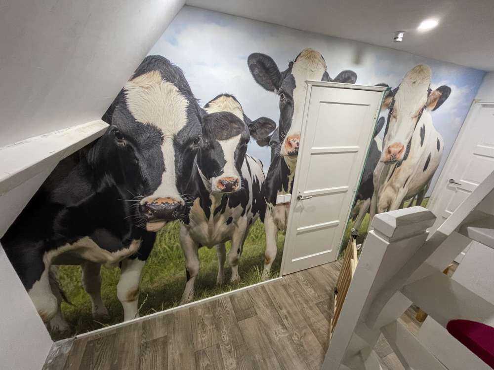 Rebaño con vacas