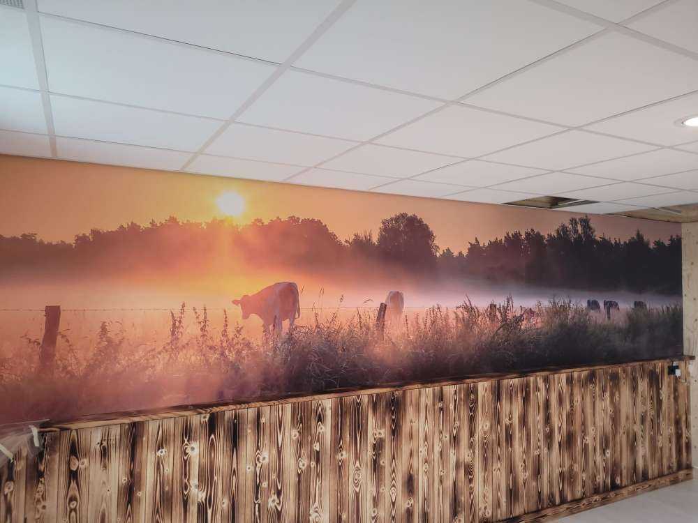 Vacas en el prado