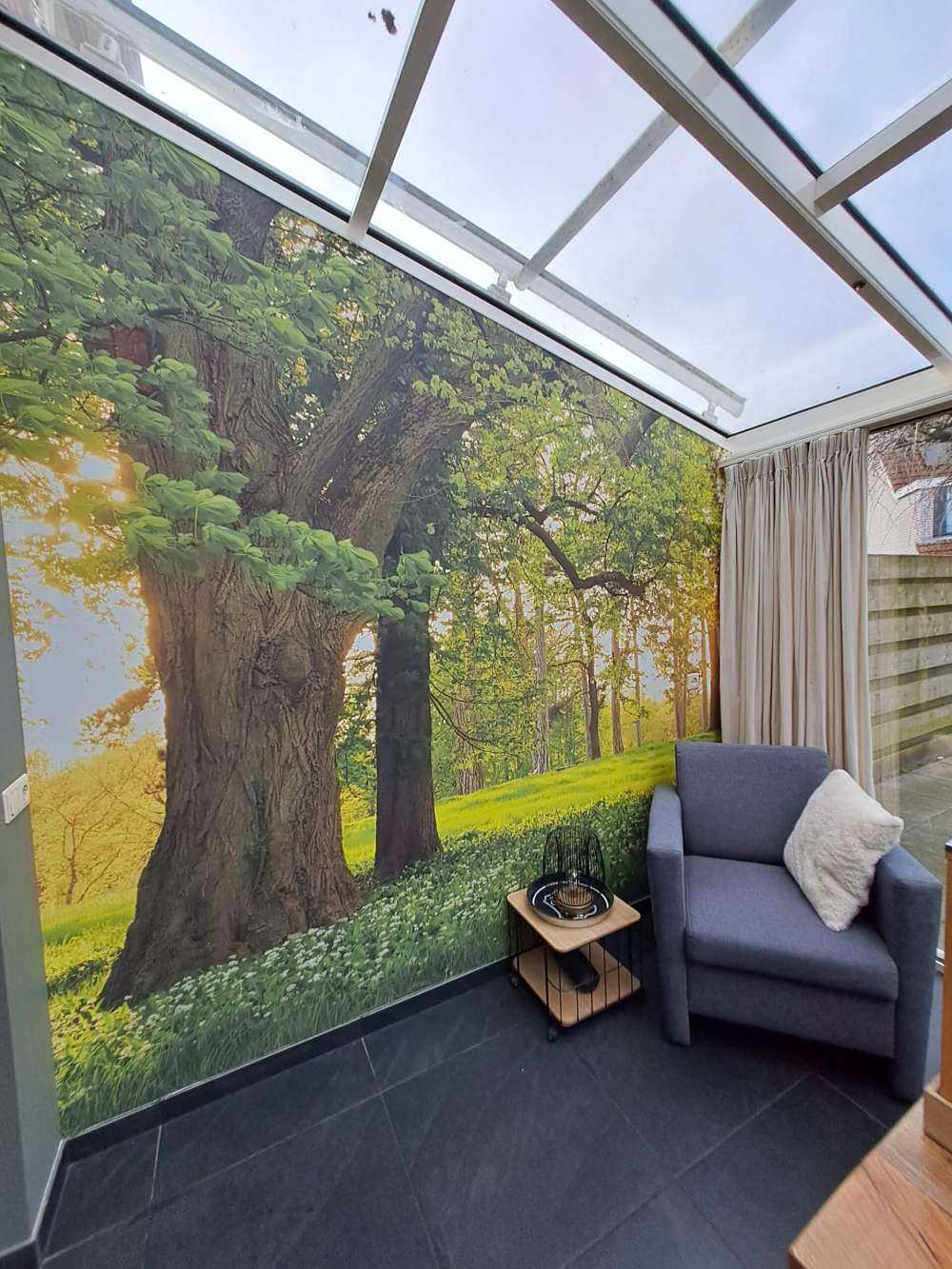 Espacio abierto en el bosque