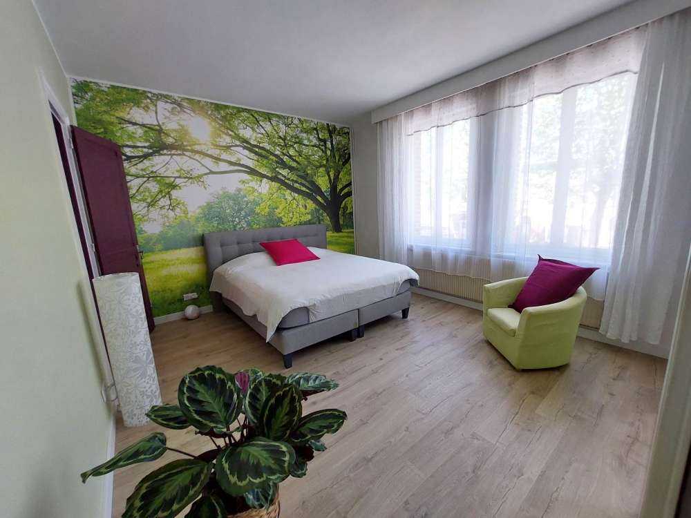 Hermoso árbol con hierba verde