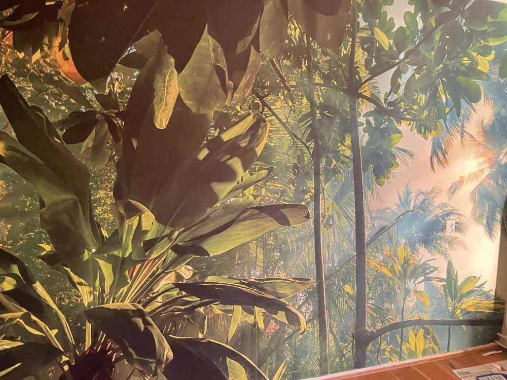Selva misteriosa