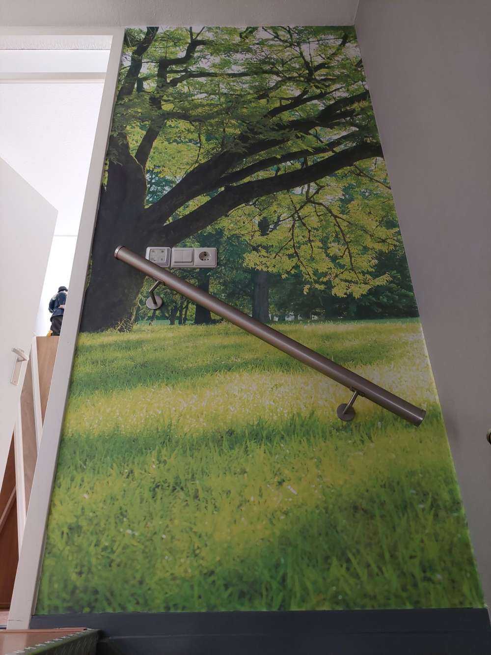 Hermoso árbol con hierba verde