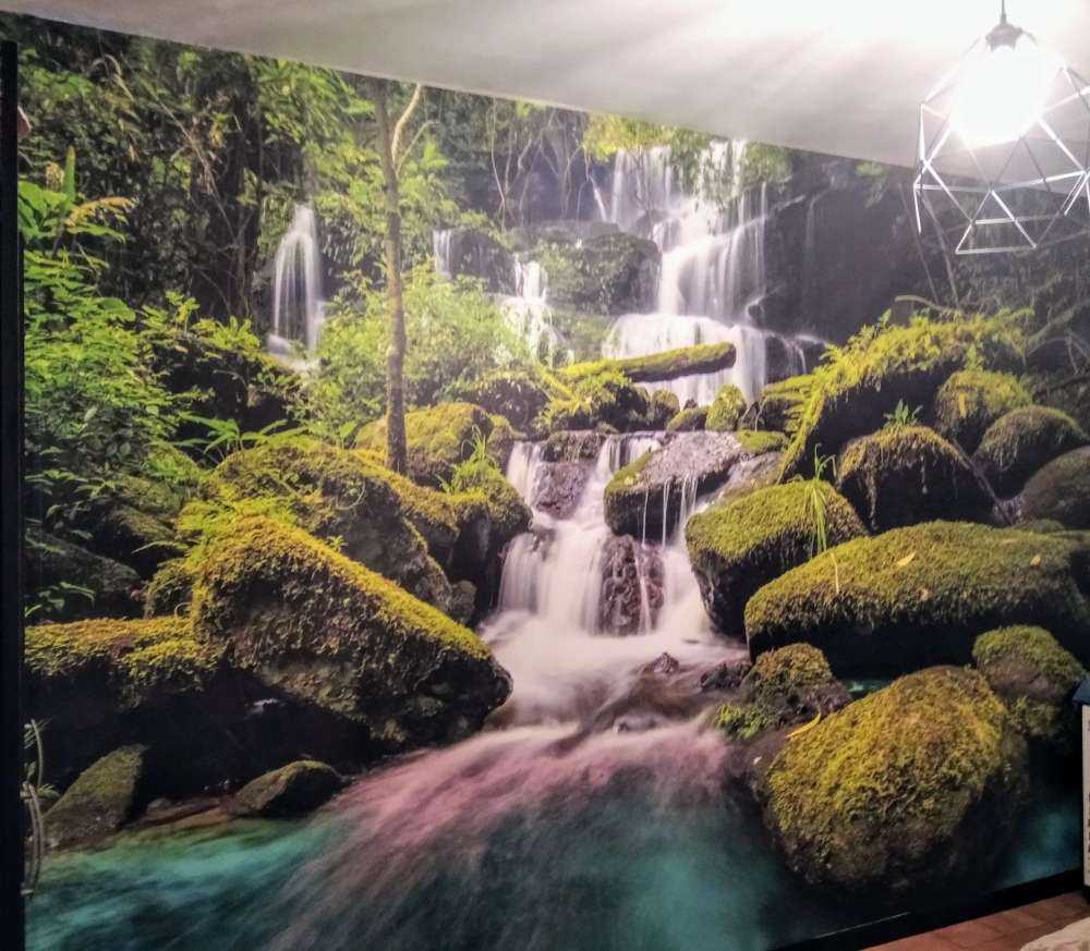 Cascada en la selva
