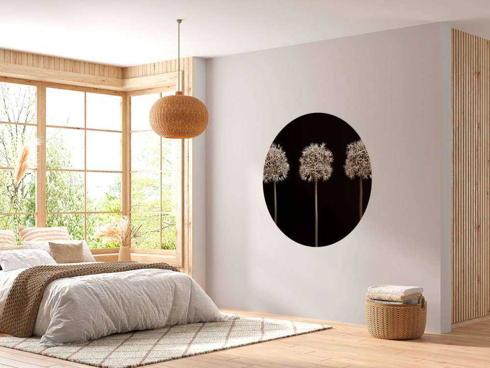 Tres flores de allium en fila