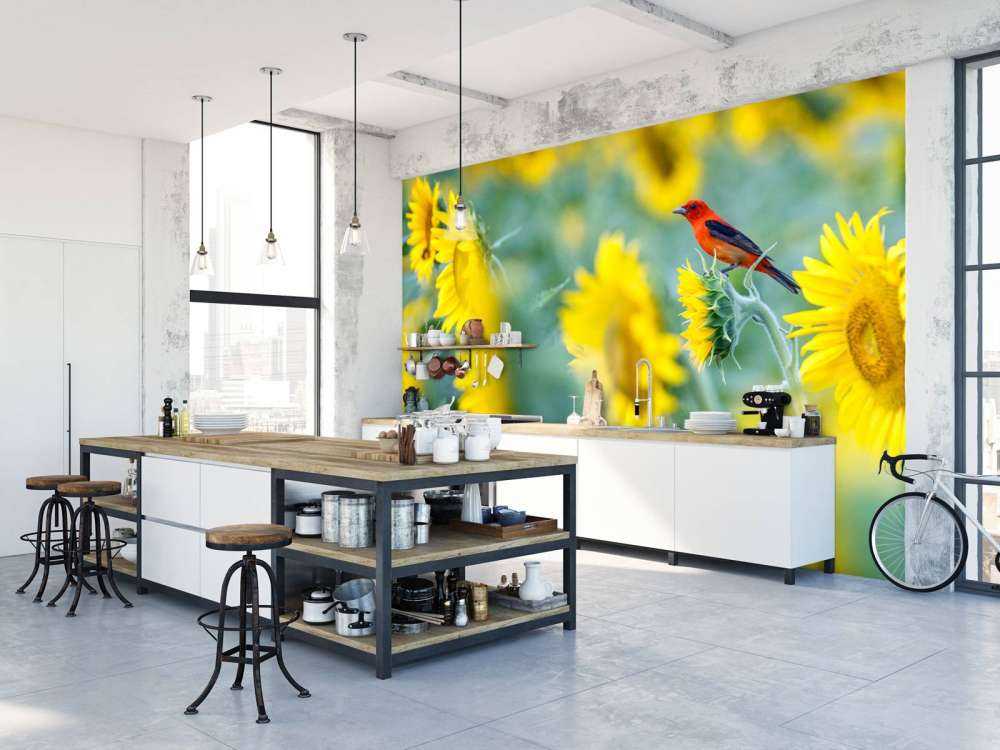 Campo de girasoles con pájaro rojo