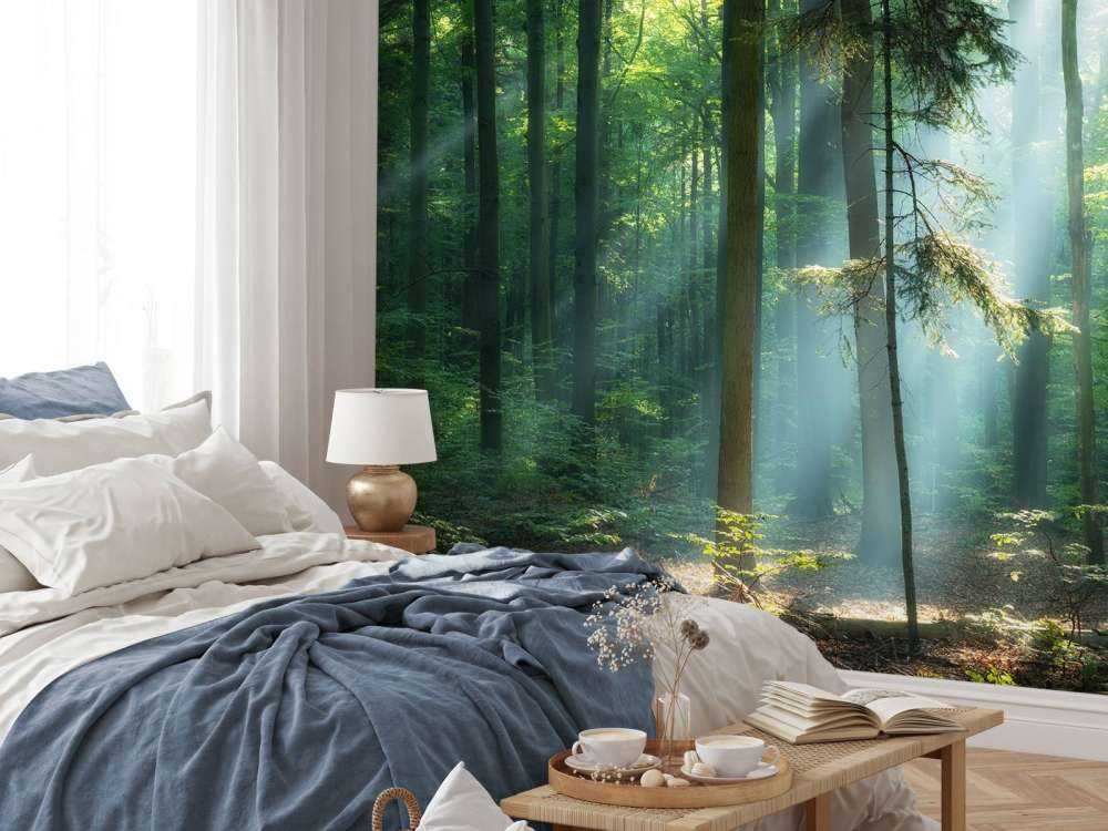 Amanecer en el bosque