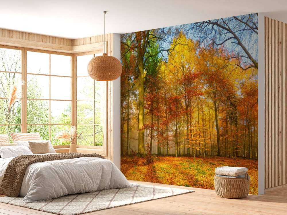 Panorama de un bosque colorido