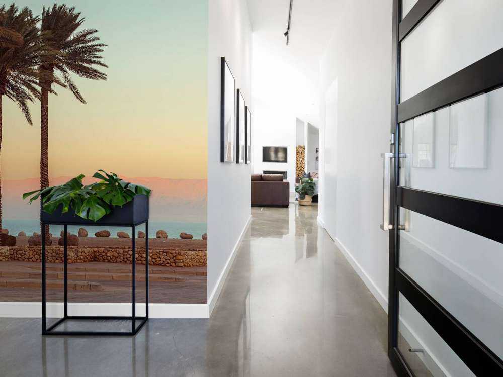 Palmeras al atardecer