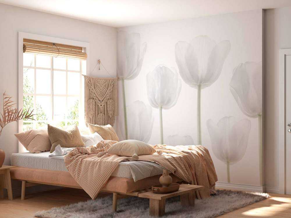 Tulipanes blancos