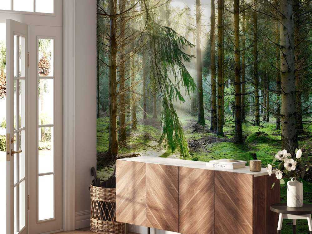 Bosque de coníferas al sol de la mañana