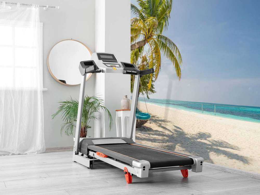 Playa tropical con columpio