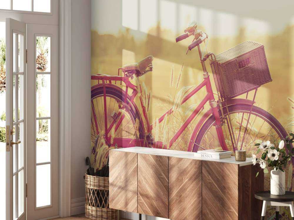 Bicicleta de época
