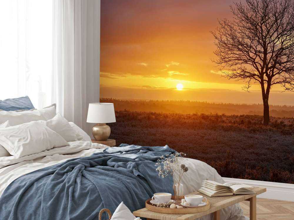 Colorido amanecer en el páramo