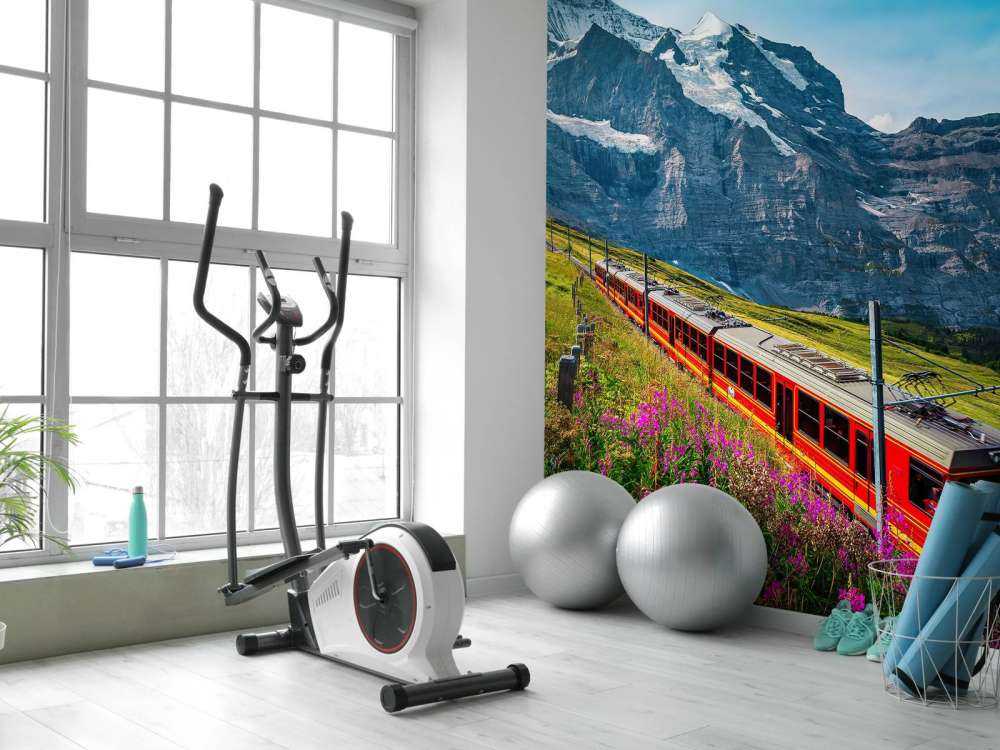 Tren eléctrico