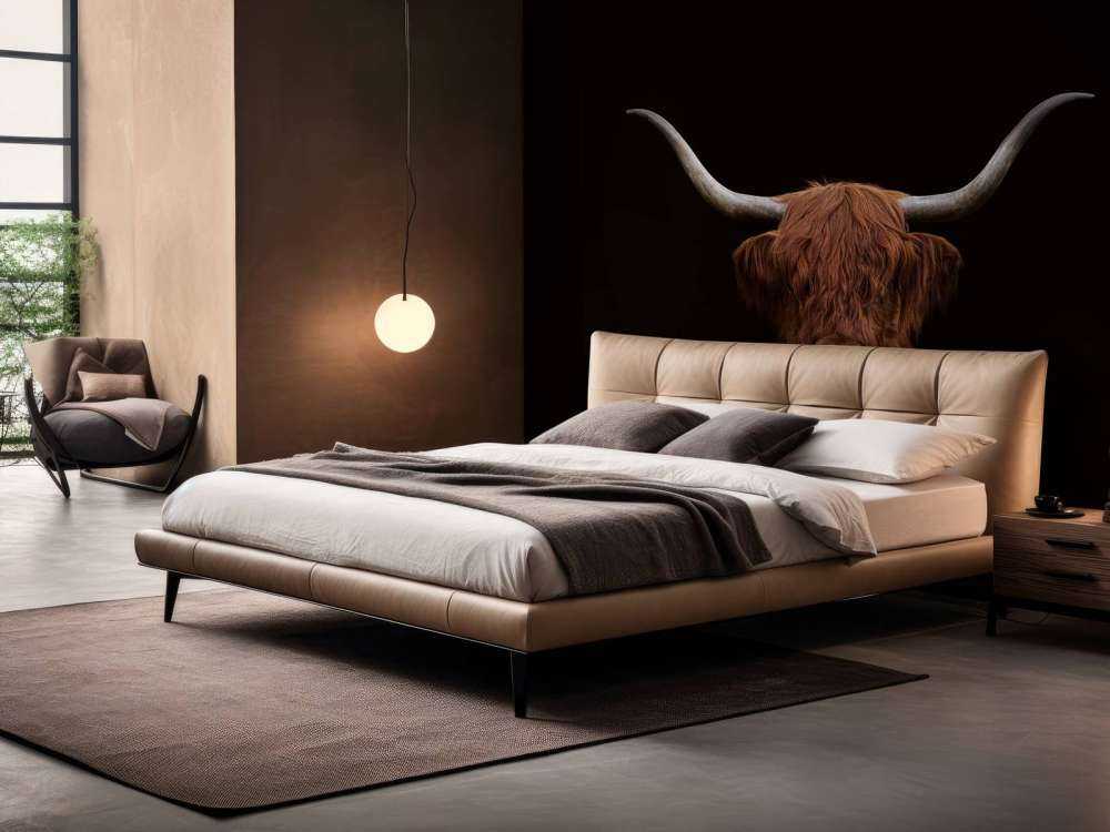 Vaca escocesa sobre fondo oscuro